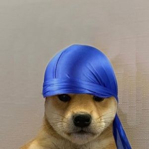 Meet your Posher, Matt